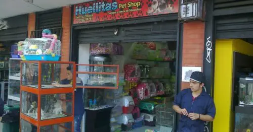 HUELLITAS PET SHOP BOGOTÁ HUELLITAS PET SHOP BOGOTÁ